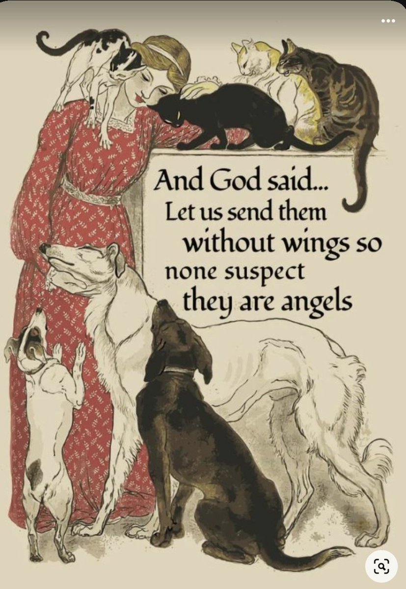 Niin totta!  ✌🐶🐱