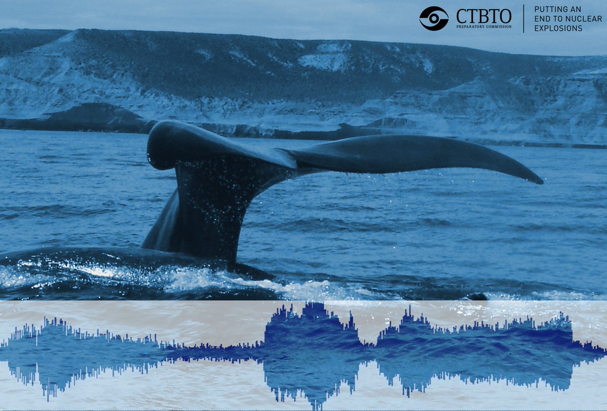 From tsunami warnings to climate research #Vienna -based <a href="/CTBTO/">CTBTO</a> is helping expand scientific knowledge for peaceful purposes. 
On World #ScienceDay for Peace &amp; Development, find out more about their work 👉 ctbto.org
#ScienceWeek