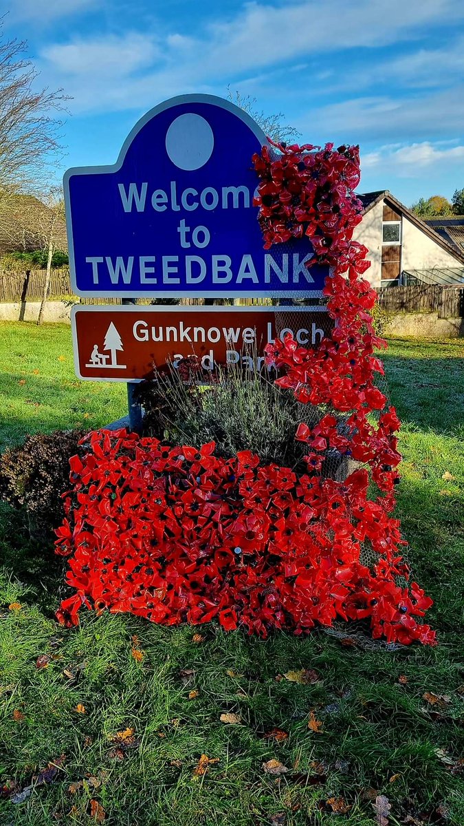 Kirsteen MacKenzie tweet media