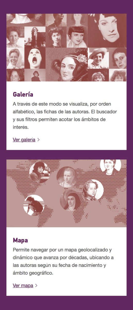 Netcoin Project tweet media