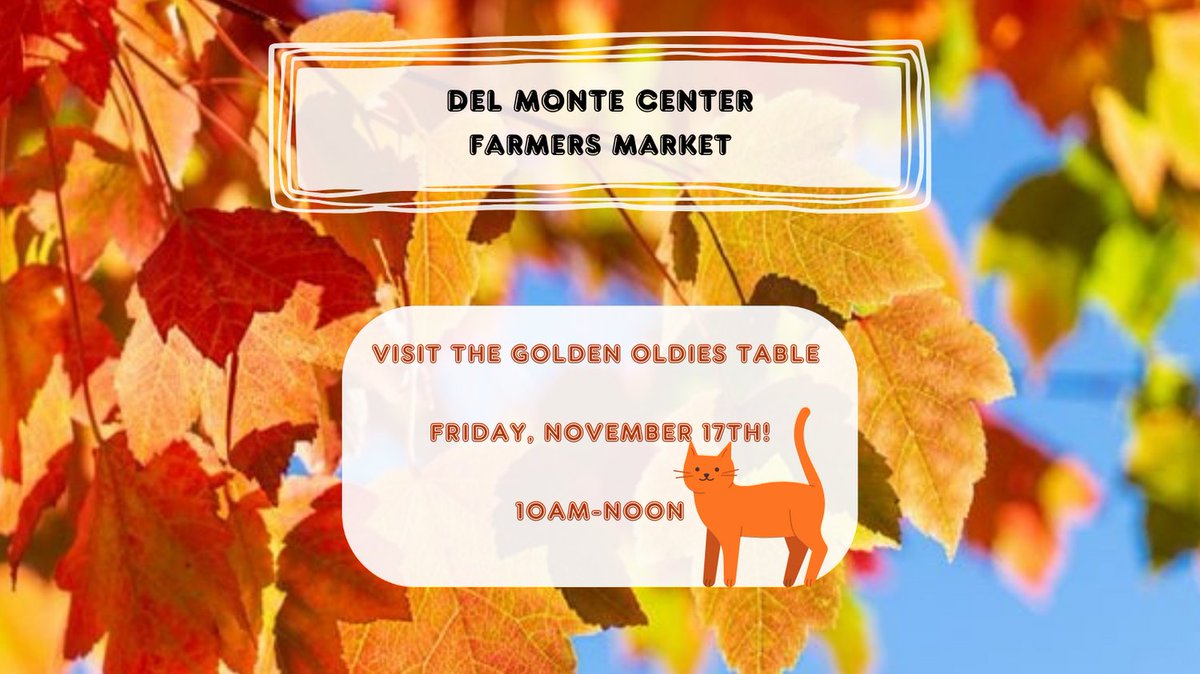 Golden Oldies will be at the Del Monte Farmers Market Friday, November 17th, 10am - Noon!  Stop by and say hello, we would love to see you!  

To learn more about Golden Oldies visit our website at gocatrescue.org

#monterey #cats #gocr #farmersmarket #oldercats