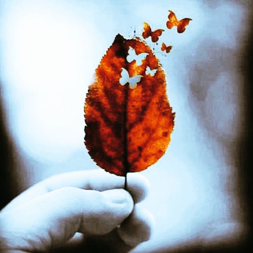 Yine aylardan kasım,
Sanki sende kaldı bir yarım.

Her nefesim her anım,
Sanadır canım…
🍂🍂🍂