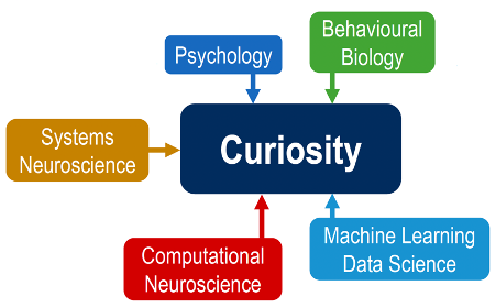 uniGoettingen's tweet photo. Congratulations to researchers at our Uni: Prof Mani and her team for new Research Training Group (RTG) on “Curiosity”; and Prof Schick and his team for the extension of #PureMaths RTG “Fourier Analysis and Spectral Theory”: https://t.co/lJmvTIW5zZ - Thanks to @dfg_public https://t.co/mMFIMdKgyN