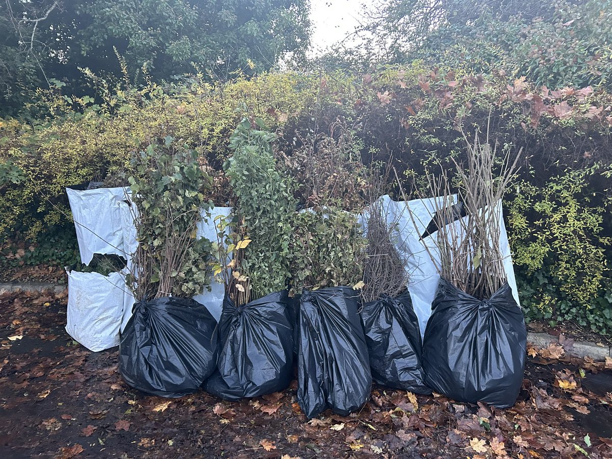 BernardPender's tweet photo. 1000 π³π³π³heading west tonight for the @Cloudforests_ie planting day #nativeirishtrees #treeplanting Plus 10 πtrees for our New orchard at C1 in Lahinch #makingplanetearthcool #esg #csr #nature https://t.co/pb8tlH3Sby