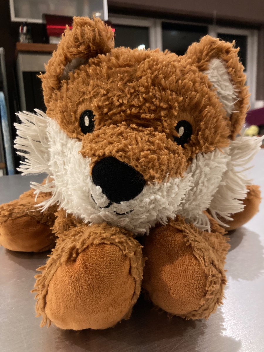 emmaswarb's tweet photo. Dear @DunelmUK, I think you’ll recognise this beloved Foxy. Your shops were looking after lots of his brothers and sisters last year. This particular Foxy joined our family after Father Christmas delivered him to the end of my son’s bed last year. (1) https://t.co/iIYFaz9UKM