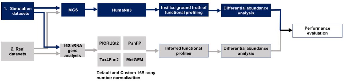 Looking for a weekend read? We benchmarked methods that infer functional profiles from 16S rRNA against matched metagenomes. These methods do not resolve health-related differences and should be used with caution. Great work by @mail2steff w/ @KacprowskiTim @janbaumbach et al.