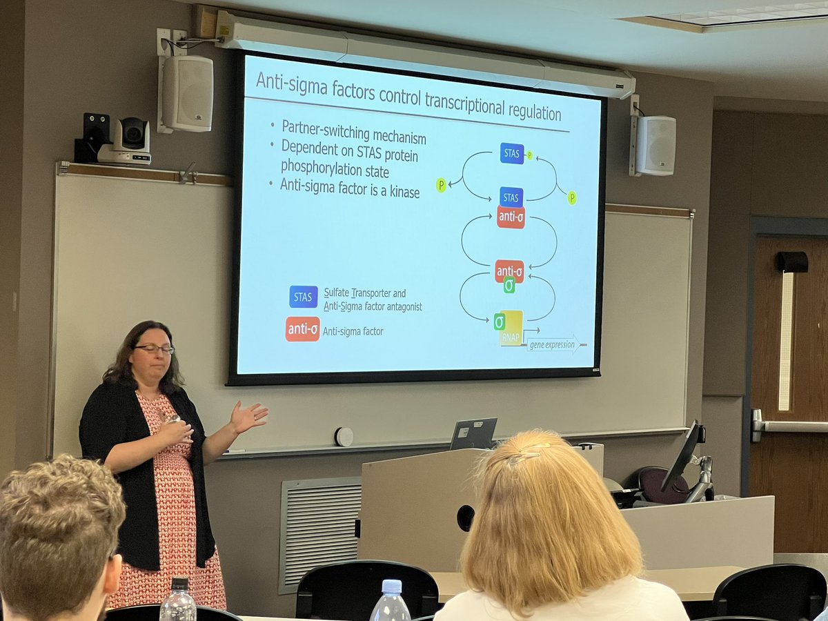 EspenLab's tweet image. Dr Morgan Milton @heluvascientist in Biochemistry  in @ECUBrodySOM delivering an exciting seminar about structural biology in biofilms. Very exciting work!  @ECUResearch @ECU_BSOM_FacDev