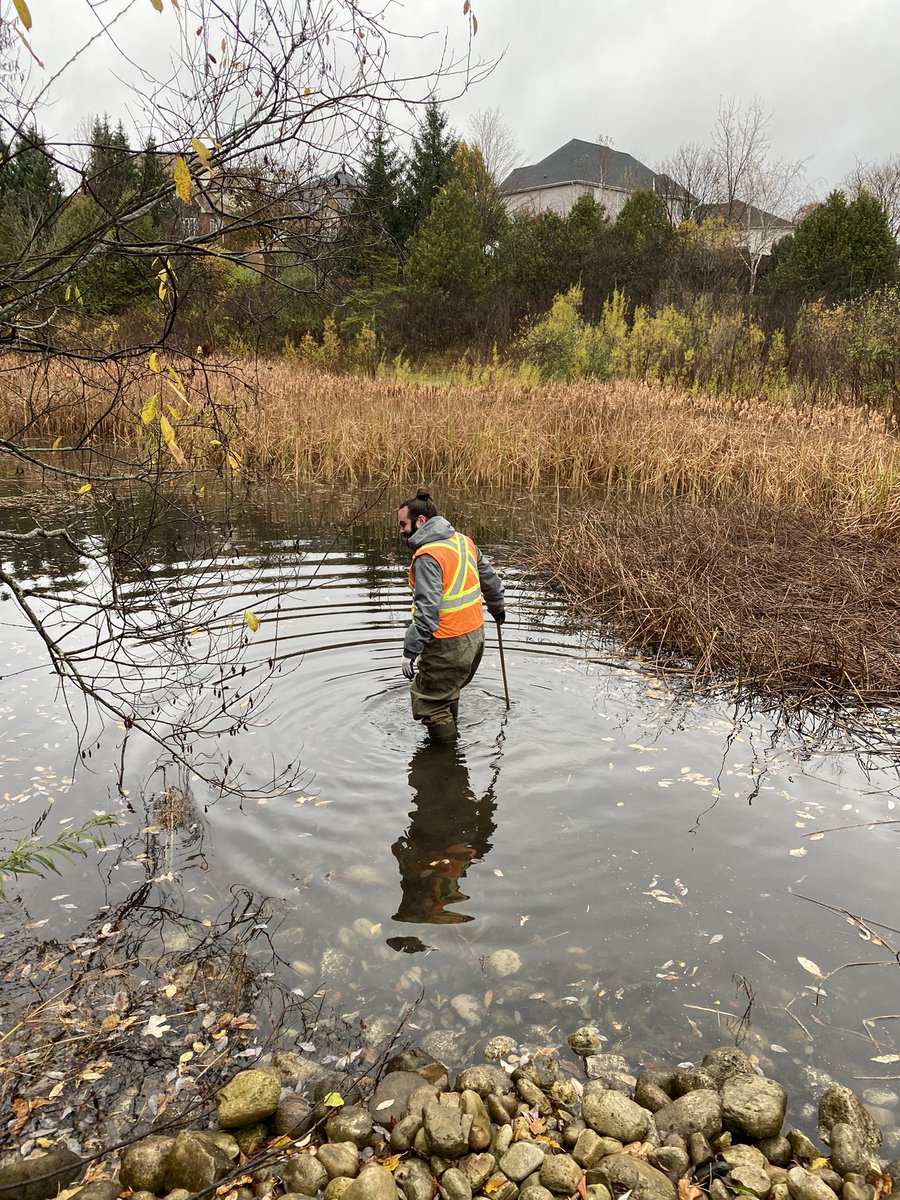 myceliahm's tweet photo. Just your local swamp witch collecting data on stormwater ponds. #QueerSTEM ๐ณ๏ธโ๐๐ณ๏ธโโง๏ธ https://t.co/EV1Fffv8gO
