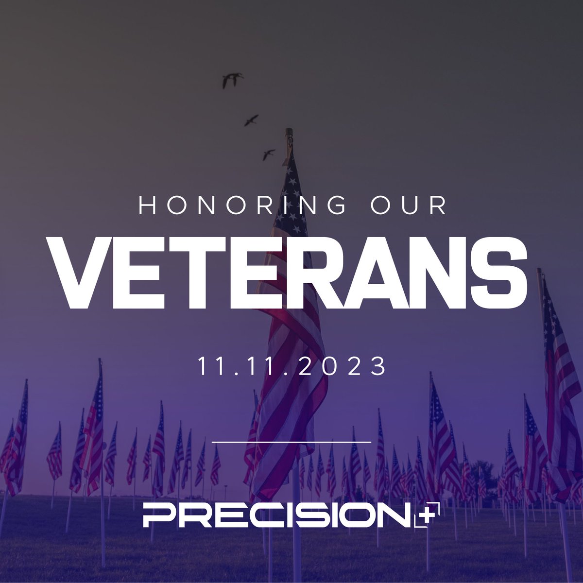 ReaderPrecision's tweet image. To the brave men and women who have served this great nation - today, and every day, we salute you. Your unwavering dedication, commitment, and sacrifice leave every American forever indebted to your service. 

#VeteransDay #SaluteToService