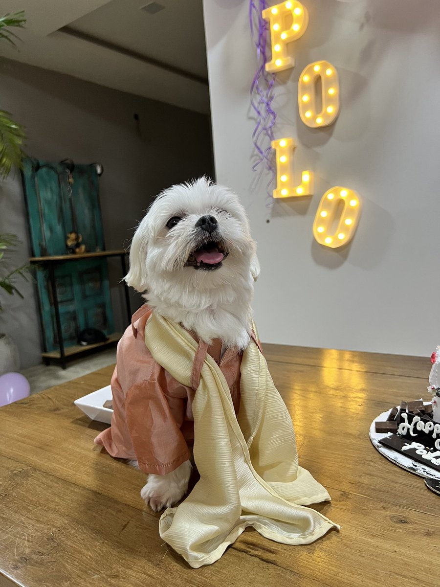 yoursanjali's tweet photo. Love in its purest form unconditional, extremely forgiving but also goofy and cute. Thatโs you, my Polo โค๏ธ Happy Birthday to the little bundle of joy in my life โค๏ธโค๏ธโค๏ธโค๏ธโค๏ธ
#PoloDiaries https://t.co/vtedsOEaxr