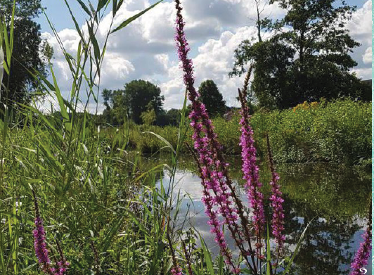 Betrokkenen sturen aan op natuurlijk passend Lochem Oost mooilochem.nl/betrokkenen-st…