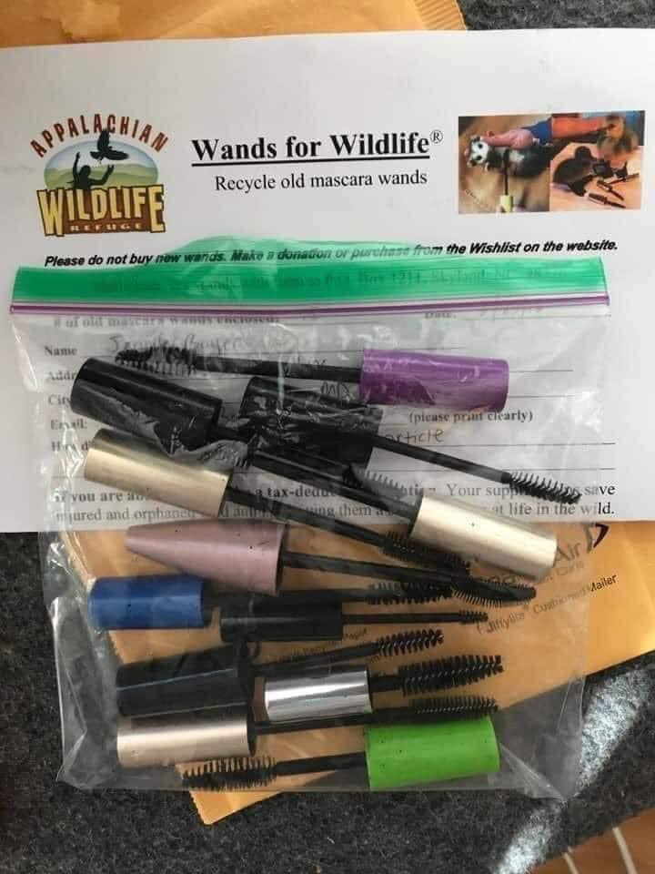 Please don’t throw away your mascara wands. Instead, clean with dawn soap, place them in a ziploc bag and mail them to a Wildlife Refuge accepting donations. They can be used to clean away oil, larvae, fly eggs, mites, mud and other contaminants from wildlife. Addresses below 👇🏾