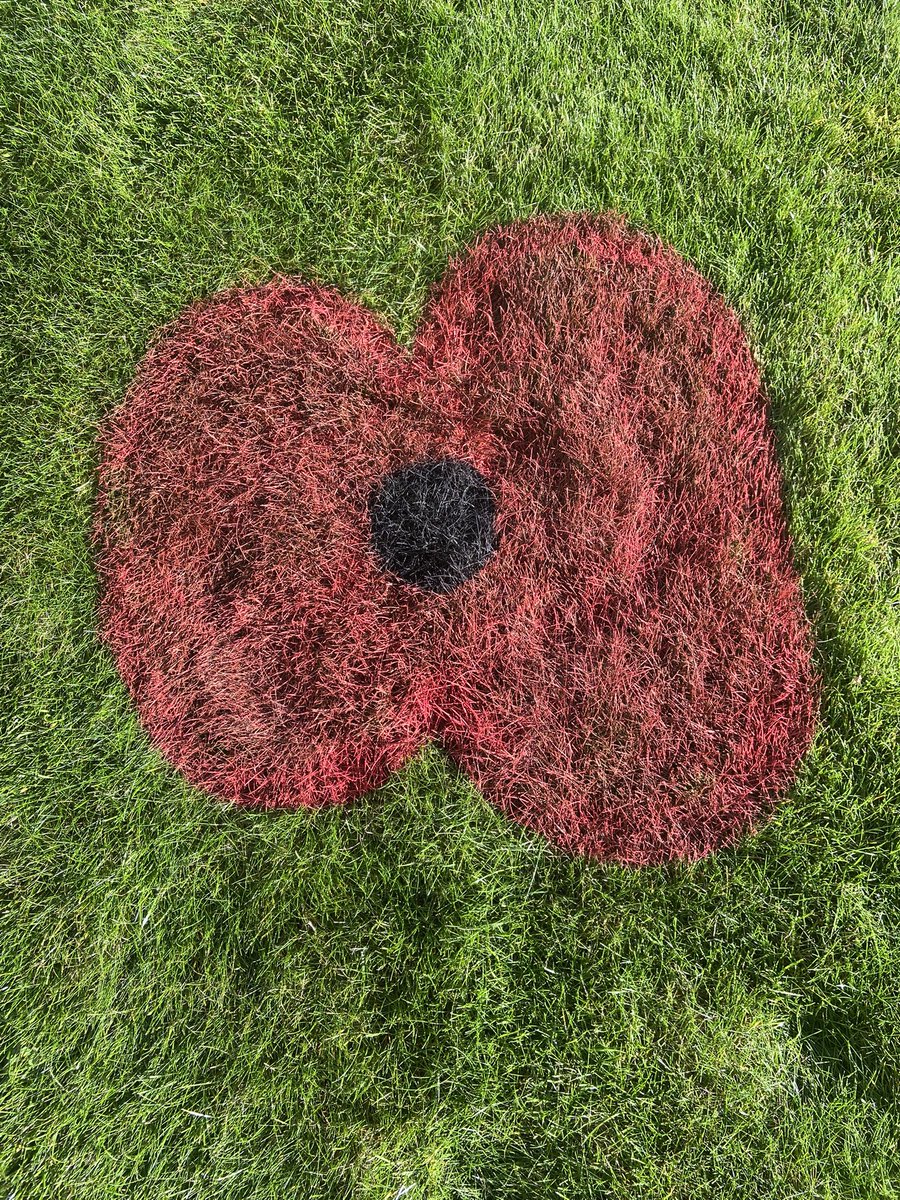 A two minute silence was observed in Barclay Square DMRC during a short service of Remembrance this week for patients & staff. The service is held each year at DMRC before Remembrance Sunday . The service was conducted by the Padre Rev James McWhirter. @UKStratCom @DMS_MilMed