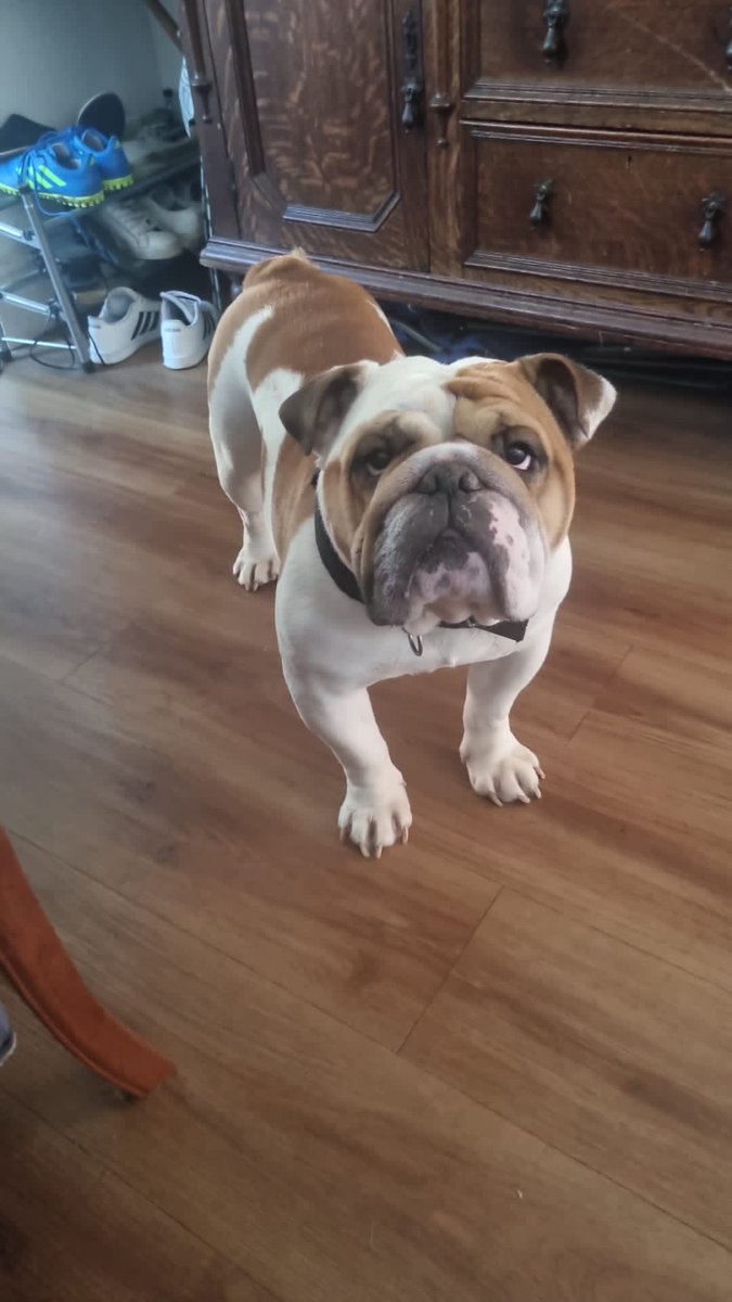 Ed209nn's tweet image. 