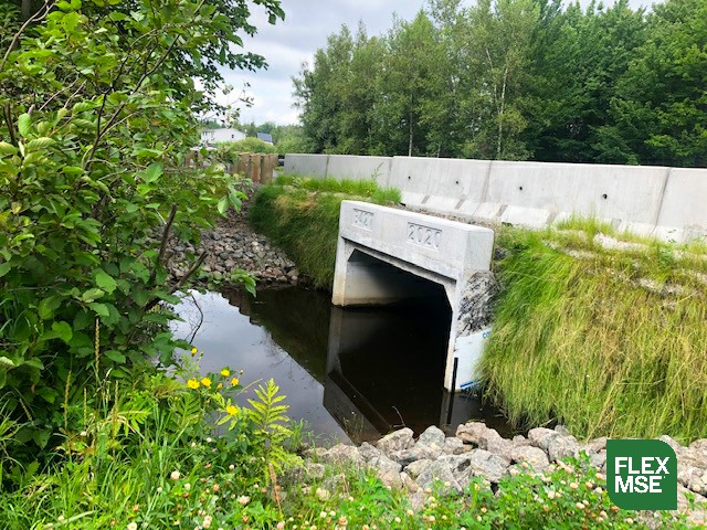 Love the early growth on this box culvert Flex MSE installation! Soon you won't even know it's there. #sustainability #backtonature