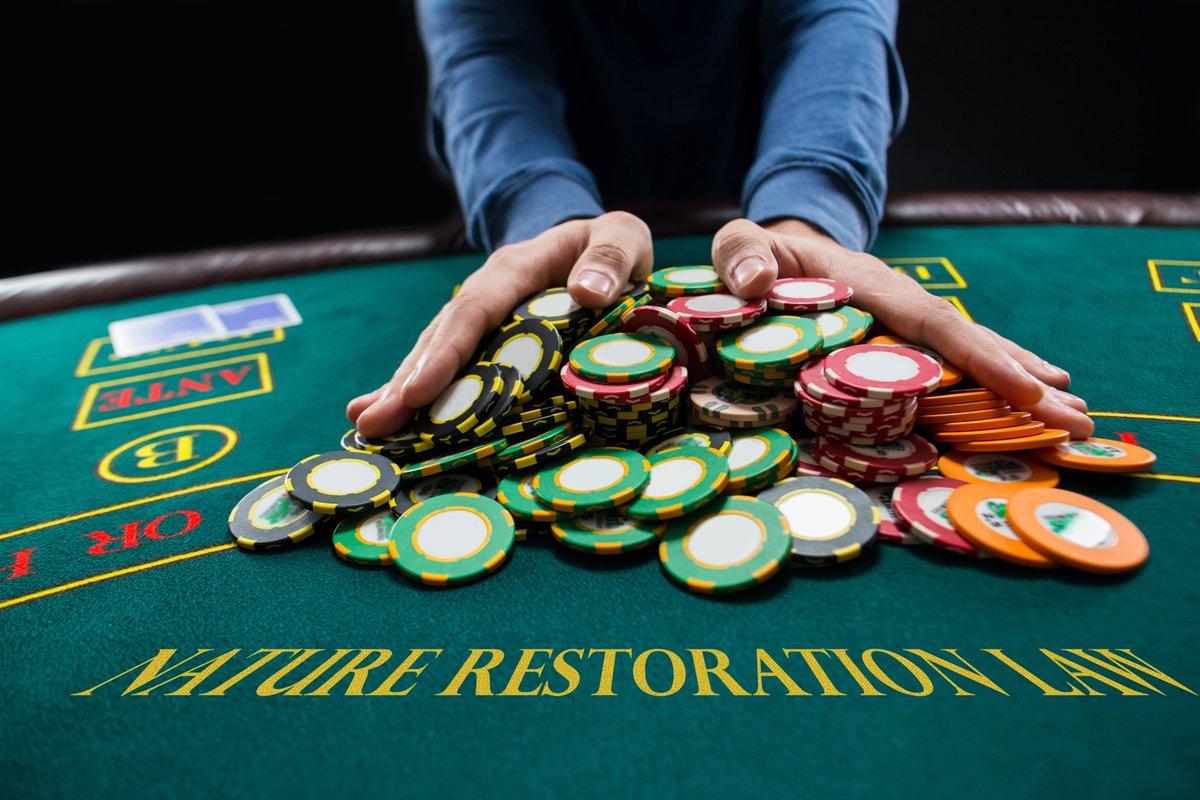 COPACOGECA's tweet image. 🇪🇺 farming community is dismayed and greatly concerned by the agreement reached by negotiators in trilogue on #NatureRestorationLaw  yesterday evening. 

Despite a few mitigations, the overall final compromise reverts to a totally unrealistic proposal for farmers and…