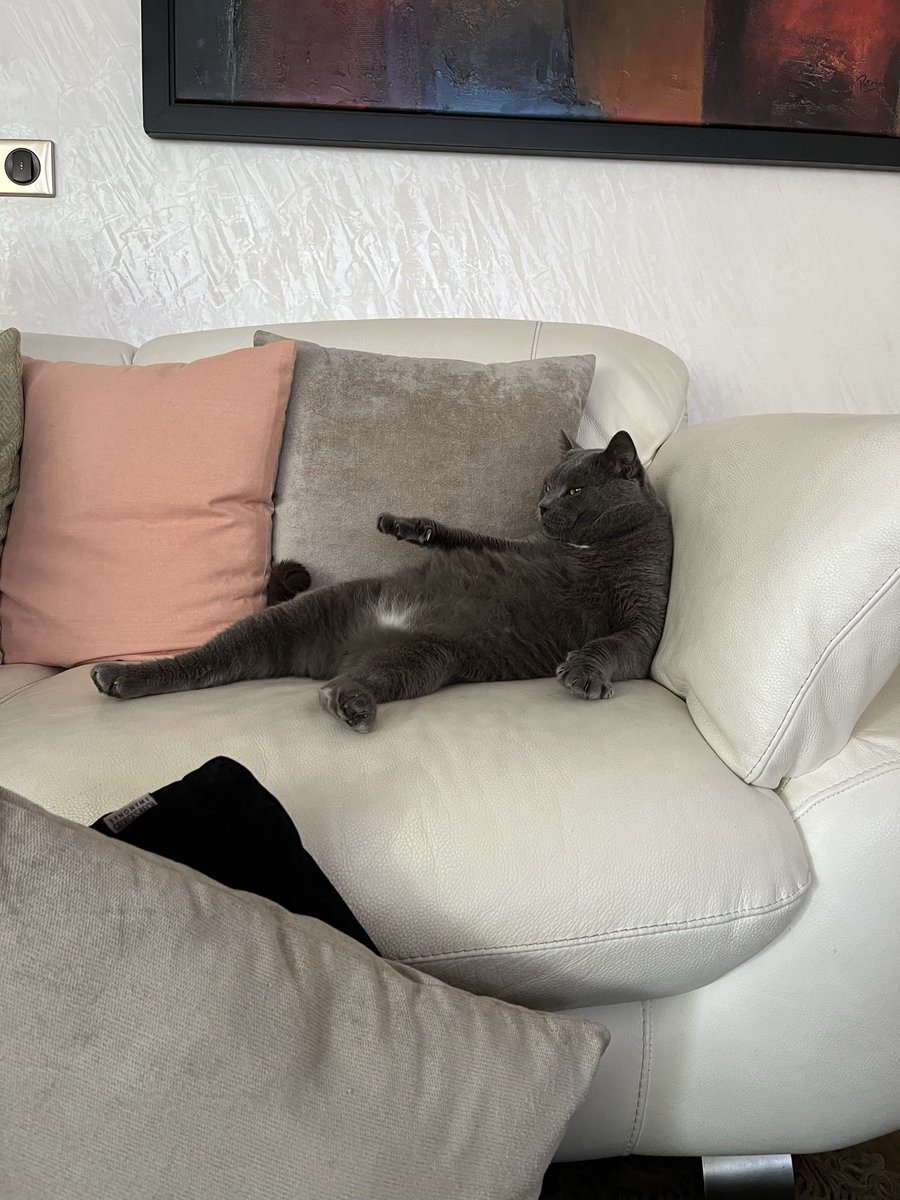 wshchakal's tweet photo. C’ÉTAIT TROP DUR DE CHOISIR https://t.co/0ApXT36G4g