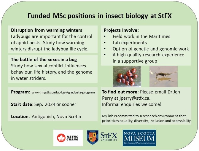 Anyone looking for a cool MSc opportunity?