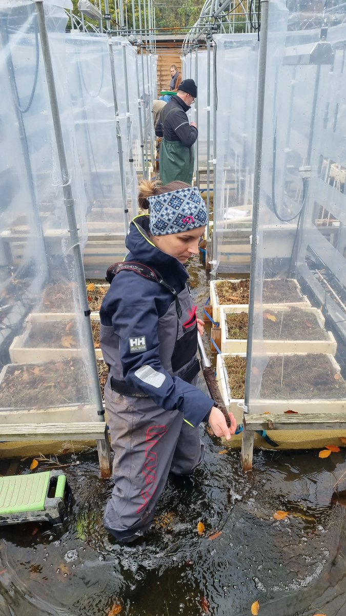 NordSalt's tweet photo. This week we started to take down our long-term #mesocosm experiment. More details coming out in our next blog post - in the meantime, enjoy some pictures! https://t.co/sVOL24ocx5