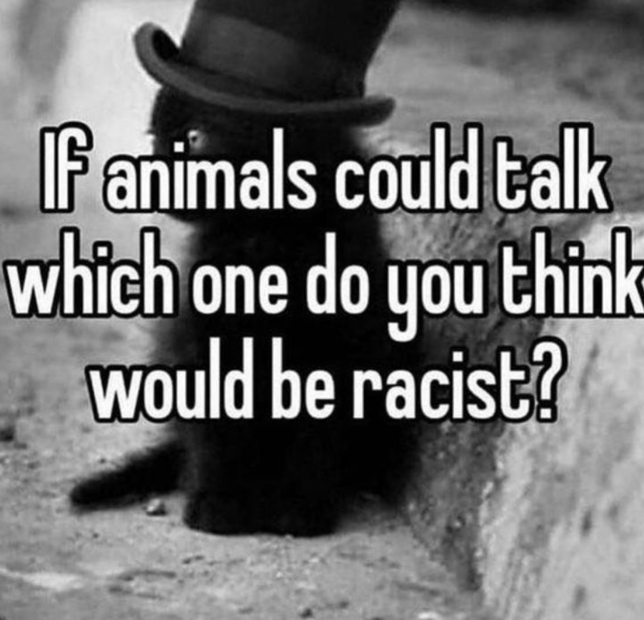 Everything Out Of Context tweet media