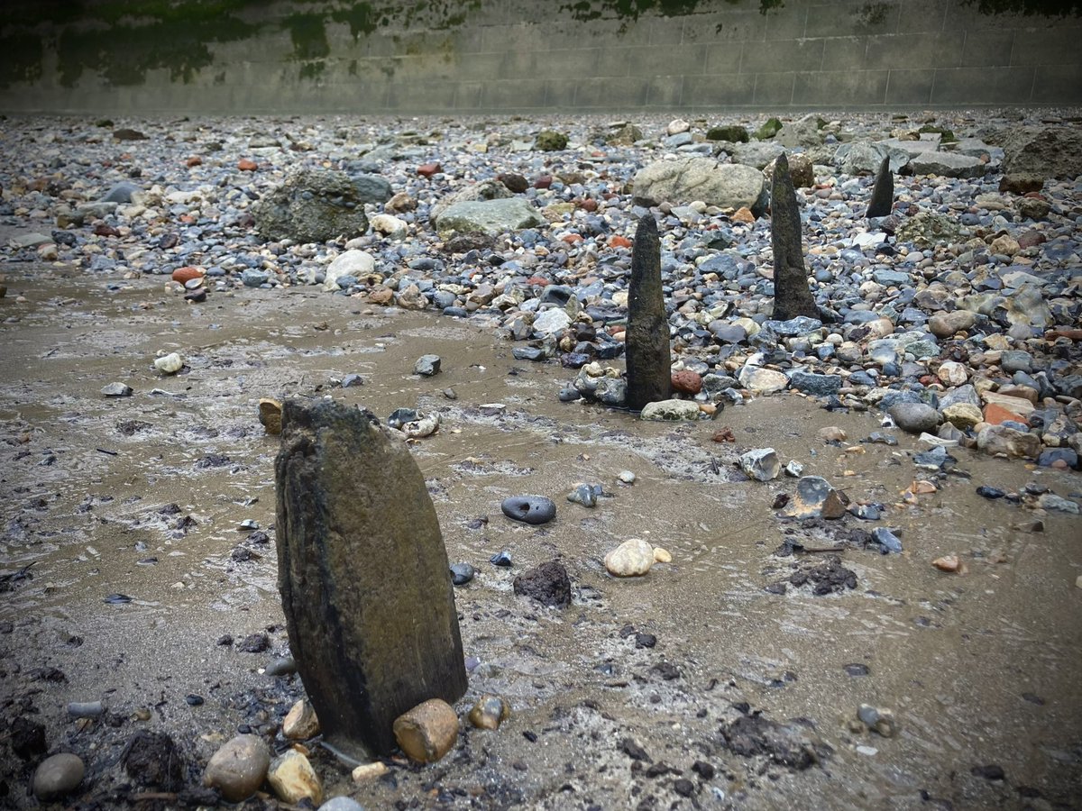 Mudlarks of the Thames! 🚨 

Can you spare 20 minutes and help me with my research by filling out an online survey?

🔗 qmul.onlinesurveys.ac.uk/mudlarks

The survey is anonymous and can be completed on your phone, tablet or laptop.

Thanks! 🙏