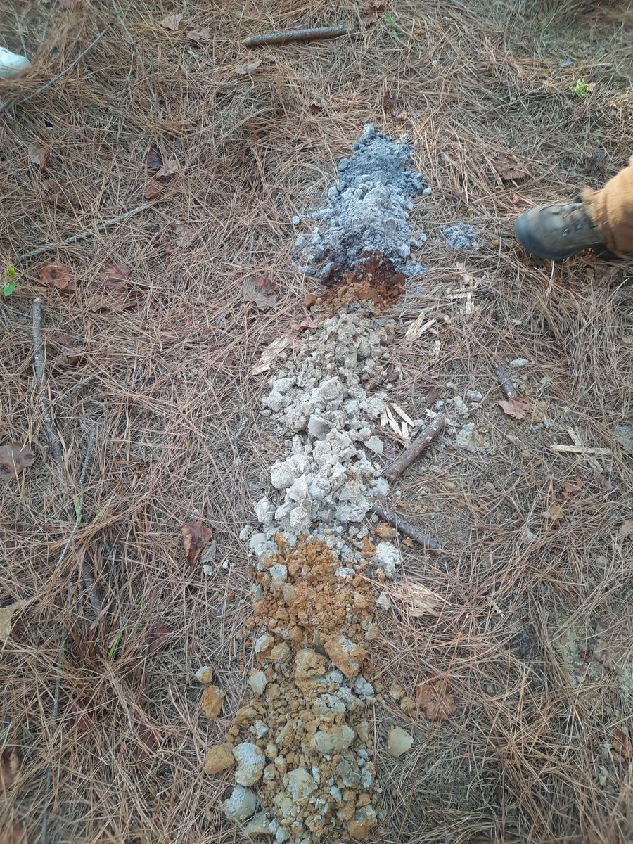 Timothy Martin tweet media