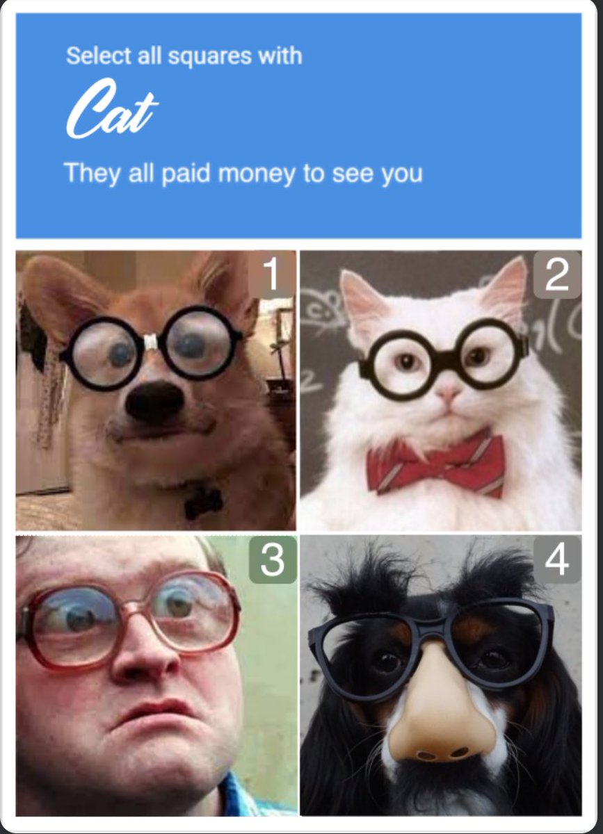 I just encountered this captcha in the wild. <a href="/trailerparkboys/">Trailer Park Boys</a> are truly iconic 😅