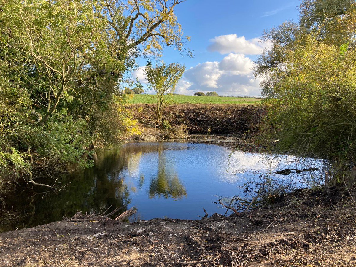 We have been working hard restoring farm ponds across our land holdings. 

By removing vegetation from the southern side we are allowing sunlight to heat the water creating a more inviting habitat for amphibians whilst also allowing growth of aquatic vegetation. 

#farming