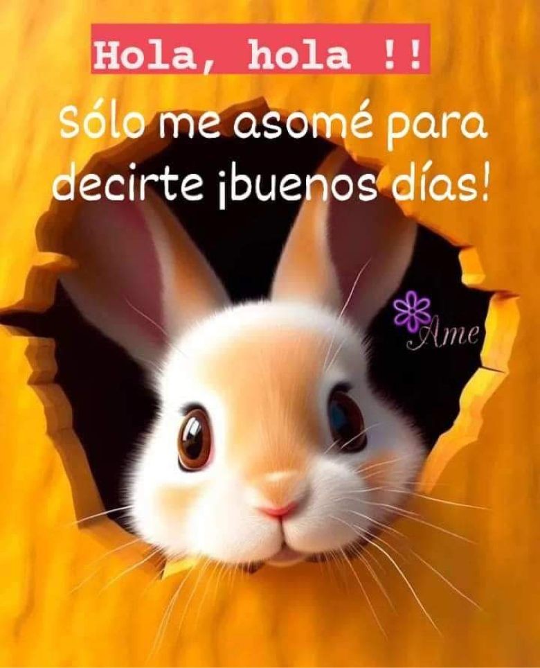 YessMtzG's tweet photo. https://t.co/HDxZmSgAGP