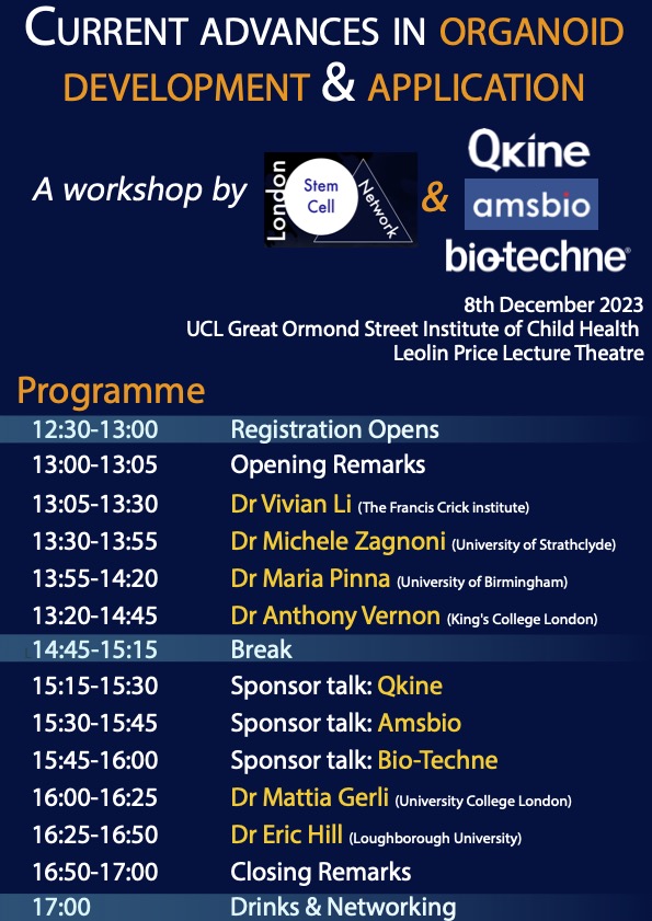 📢Our next #workshop 'Current advances in #organoid development and application'🧫 is live! We have a great agenda and amazing speakers! Don't miss it and register now: eventbrite.co.uk/e/current-adva… @Sara_Campinoti @OJH_91 @DBC_ICH @QkineBio @biotechne @ams_bio