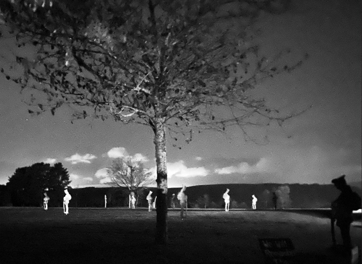 Trinant Primary tweet media