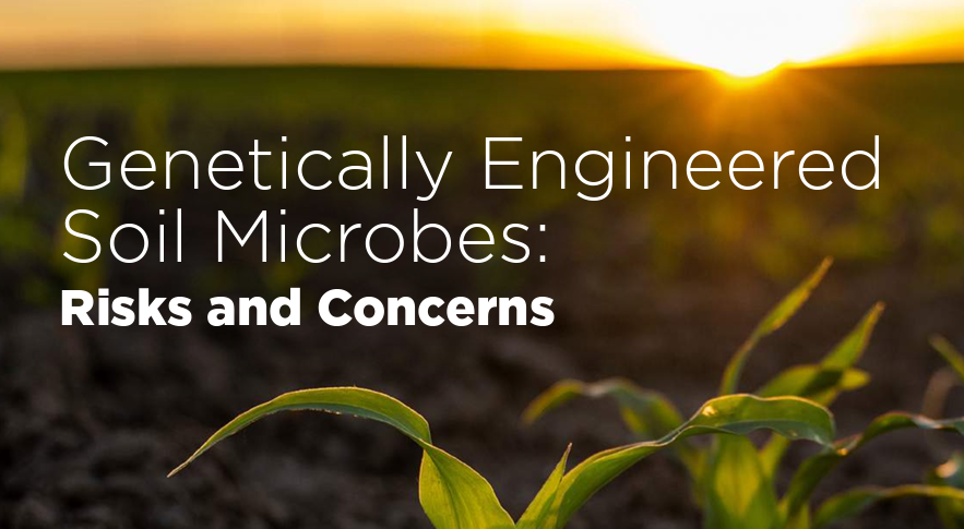 GMWatch's tweet image. Spoiler alert: yes, there are considerable risks and we should be very concerned—in the US, the agrochemical industry, w/out much fanfare, has already introduced commercial products containing new #GMO microbes. One combines a #neonics w/ #GMO Bt—and many more are in the pipeline