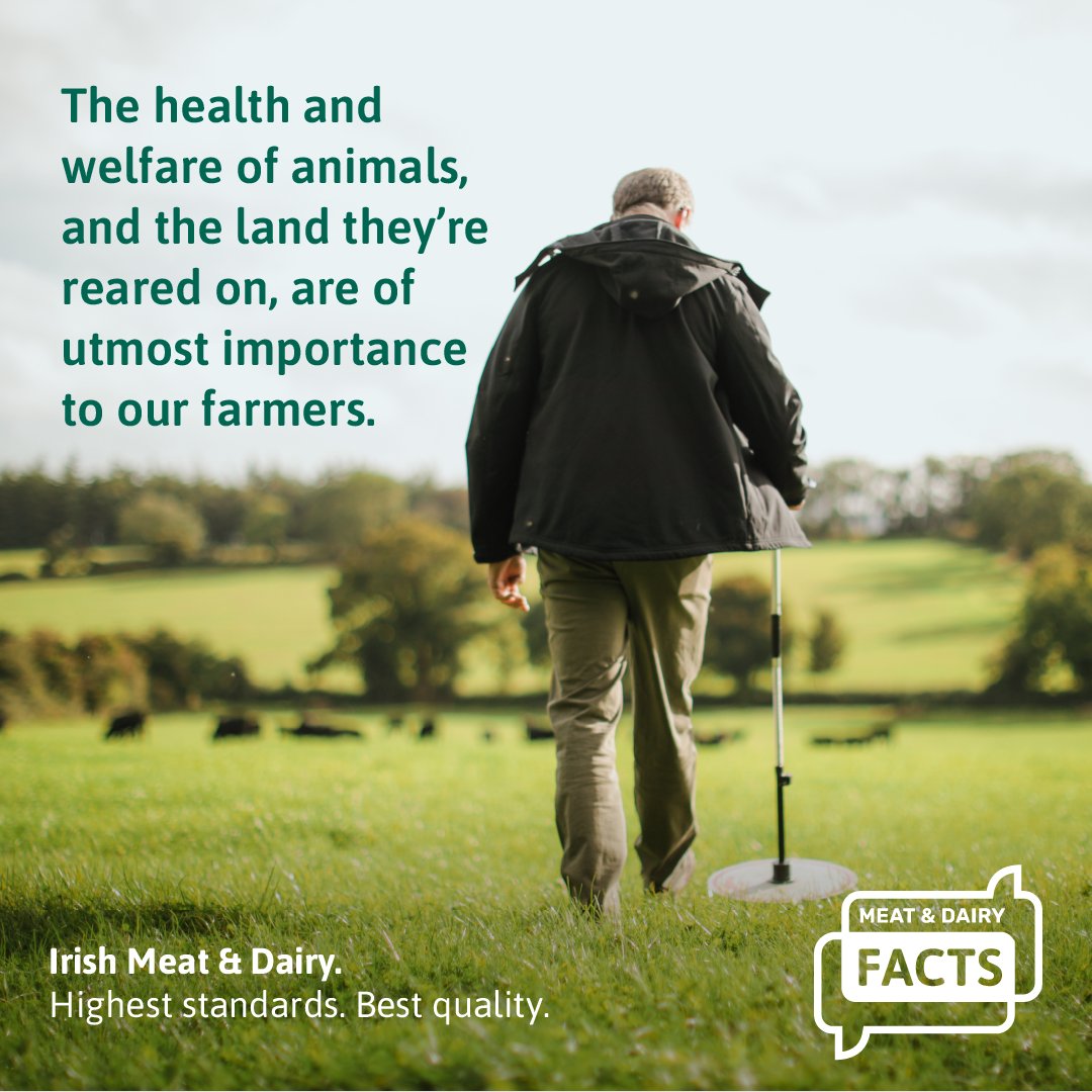 The health and welfare of animals is a key concern of Irish farmers and the meat and dairy industry. Healthy animals who are well cared for result in safe, delicious, high-quality meat and dairy products.⁣ 🚜