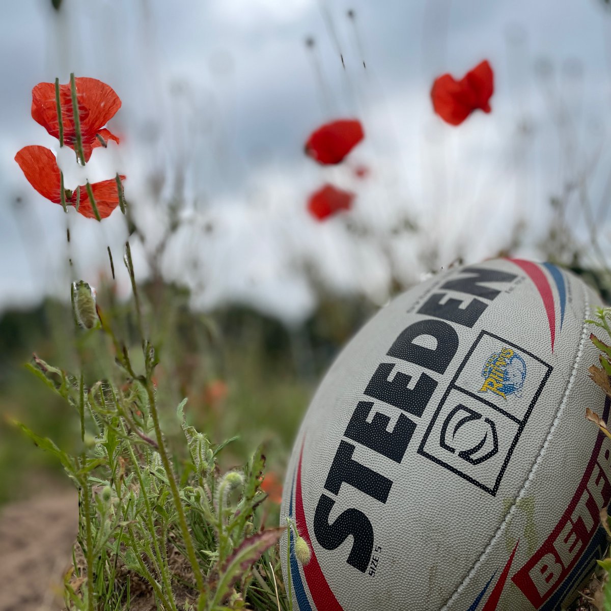 We shall remember them #ArmisticeDay