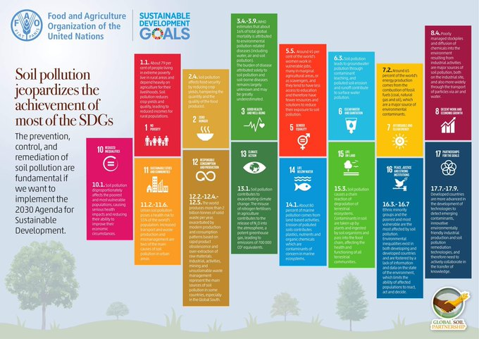 #SoilPollution hinders the achievement of many of the #UNSDGs and hits the most vulnerable, especially children and women.📚

Read more on the 'Global assessment of soil pollution' : doi.org/10.4060/cb4894…… #SoilHealth

Via @FAOLandWater