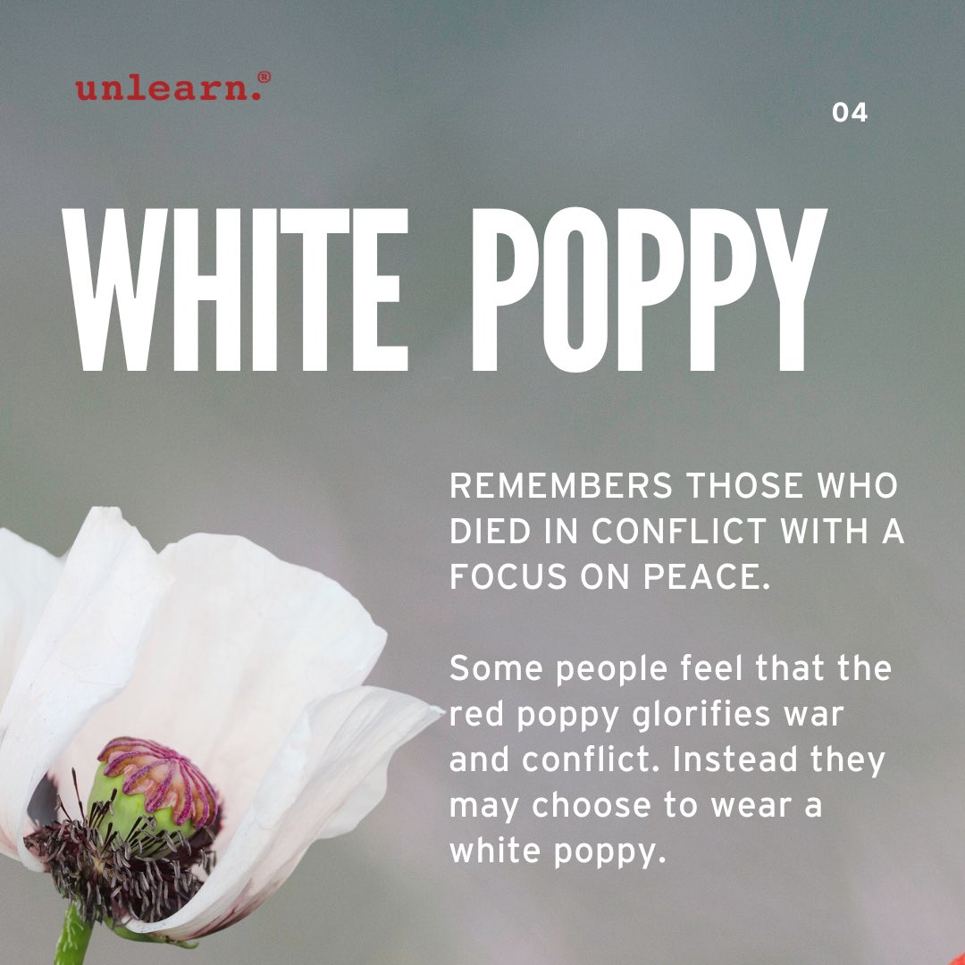 Meanings behind different colours of poppies. Lest we forget ❤️🤍💜🖤