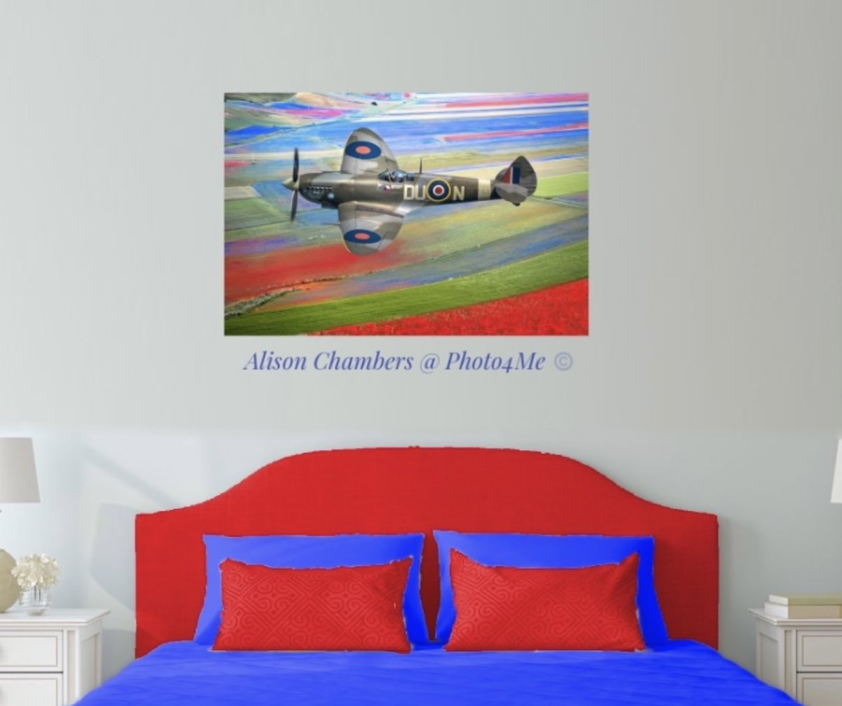 AlisonC24426188's tweet photo. Spitfire Red White and Blue©️. Available from; https://t.co/TkKzOvFDYW & https://t.co/KdKjLoxndU & https://t.co/kUds2wBmDV #spitfires #spitfire #supermarinespitfire #spitfireplane #spitfireart #RAF #rafplanes #RemembranceDay2023 #lestweforget2023 #WWII #fighterplanes #aviationart https://t.co/IKBWAA0IHG