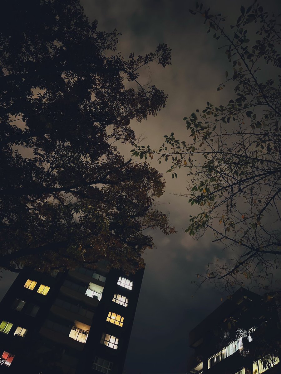 matsubocklee's tweet photo. 雨上がってよかったね。
雨は降ってもやさしいんだけどさ。
新生ACCIDENTSかっこよかった！
真気をみた。感慨深い。。
ありがとうございました！
わたしも行くよ。 https://t.co/yE8aMmZGdk