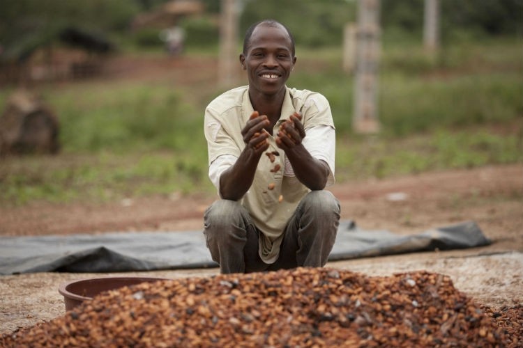 ‘Companies engaging in this behaviour are guilty of hypocrisy of the highest order’ read the @VoiceCocoa  Network statement on #chocolate industry's double standards on #cocoa market prices
confectionerynews.com/Article/2023/1…