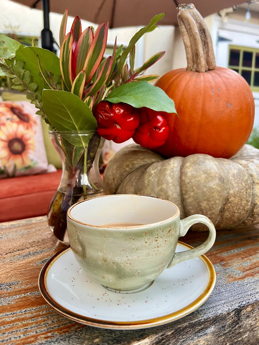 Suzi Day tweet media