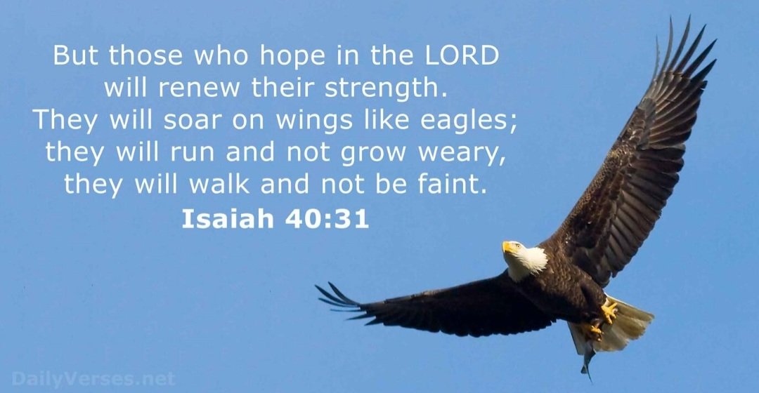 Hope in the Lord!