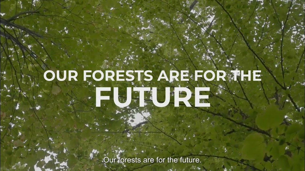 AV Group NB tweet media