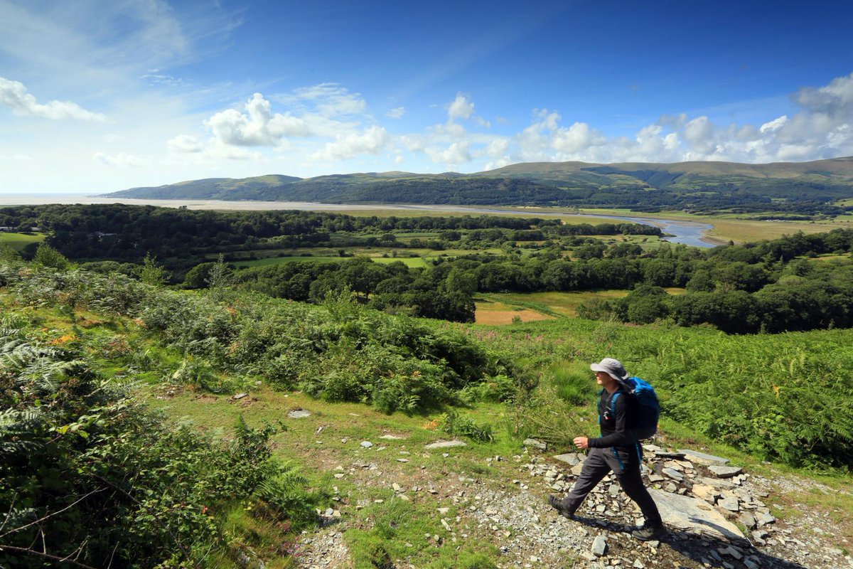 The ultimate reality TV show was once filmed here... no... not Big Brother! Springwatch has been bringing real-life drama into our homes for 18 years. And for 3 years it was based down by the estuary there at RSPB Ynys-hir, Mid Wales. Photo: Tom Bailey