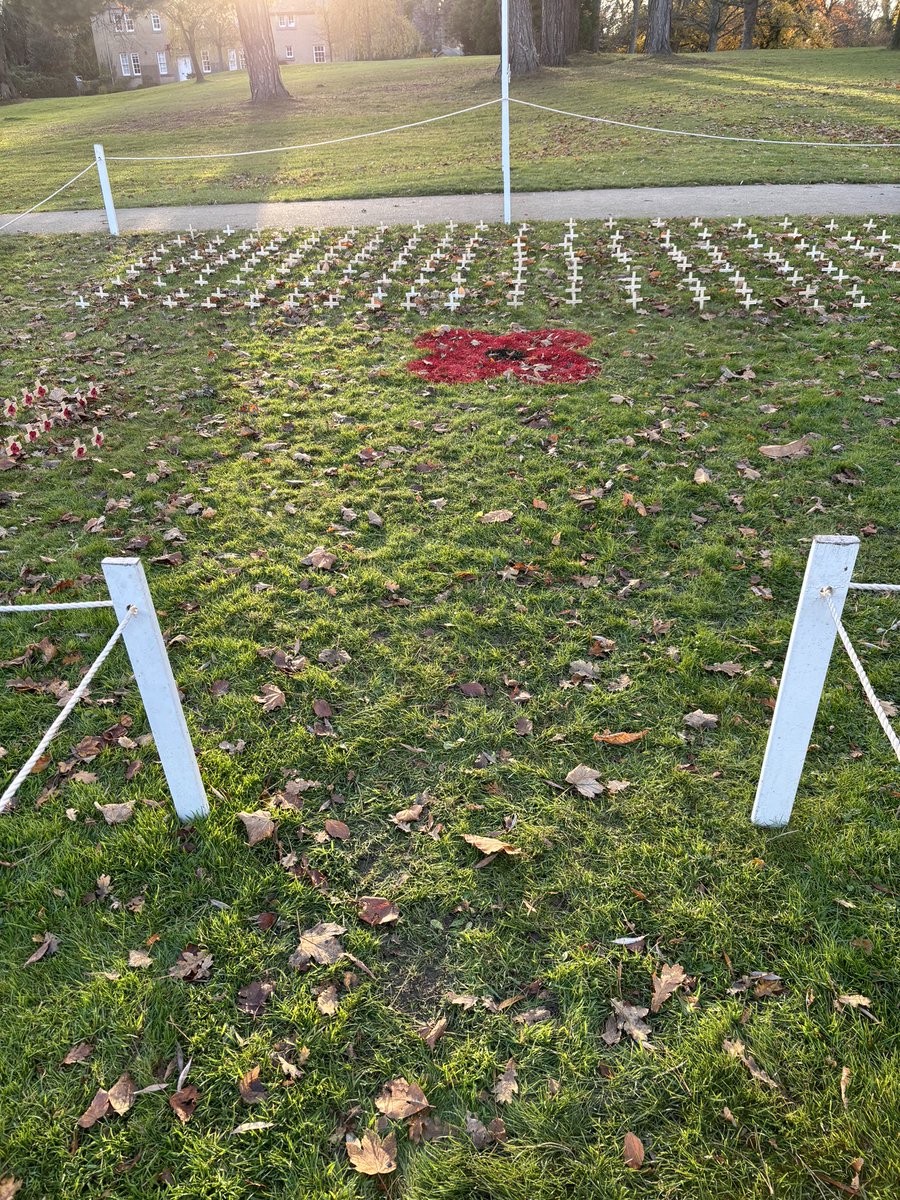 All set for Rugby fixtures and Remembrance Day this weekend.