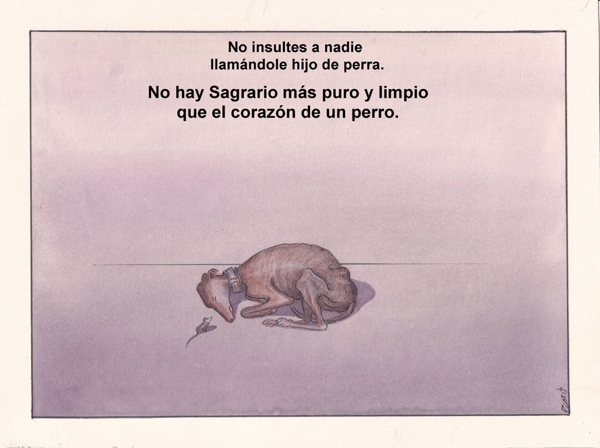 Paco Catalán. tweet media
