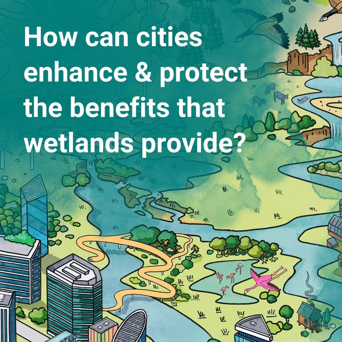 Wetlands are not just natural wonders; they are essential to the health and prosperity of our cities.

By integrating wetland management into our planning we can pave the way for a more sustainable urban future.

➡️ citieswithnature.org/the-value-of-w…… #WetlandsWednesday

Via @RamsarConv