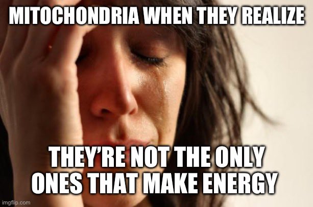 votemely's tweet photo. We make energy too by hydrolysis @mitocondre 🤷🏻‍♀️🤷🏻‍♀️ you thought that was the only thing going for you, what else even is there #getdegraded #rmorganelles23 @Mrs_Albaugh https://t.co/DXnLHUlicl