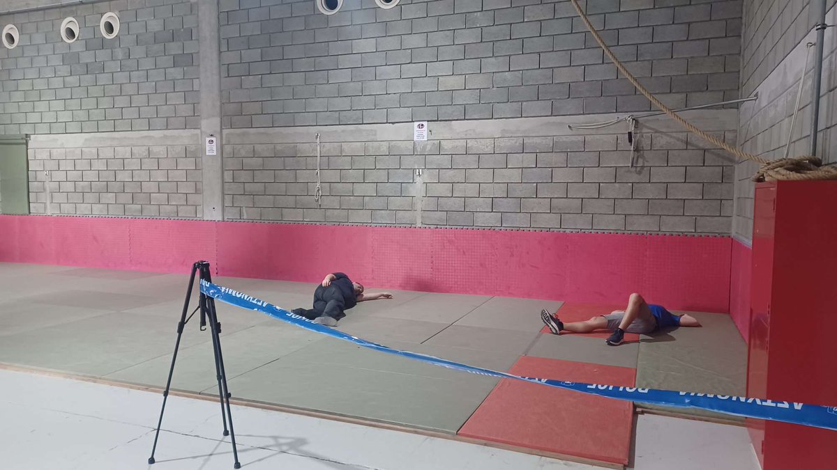 DARLENE Project tweet media