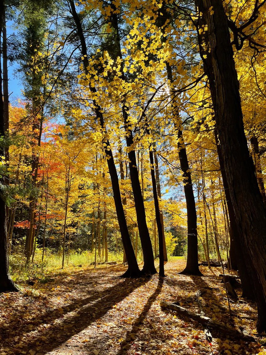 Take photos casually to show your good mood, autumn is always the most beautiful season