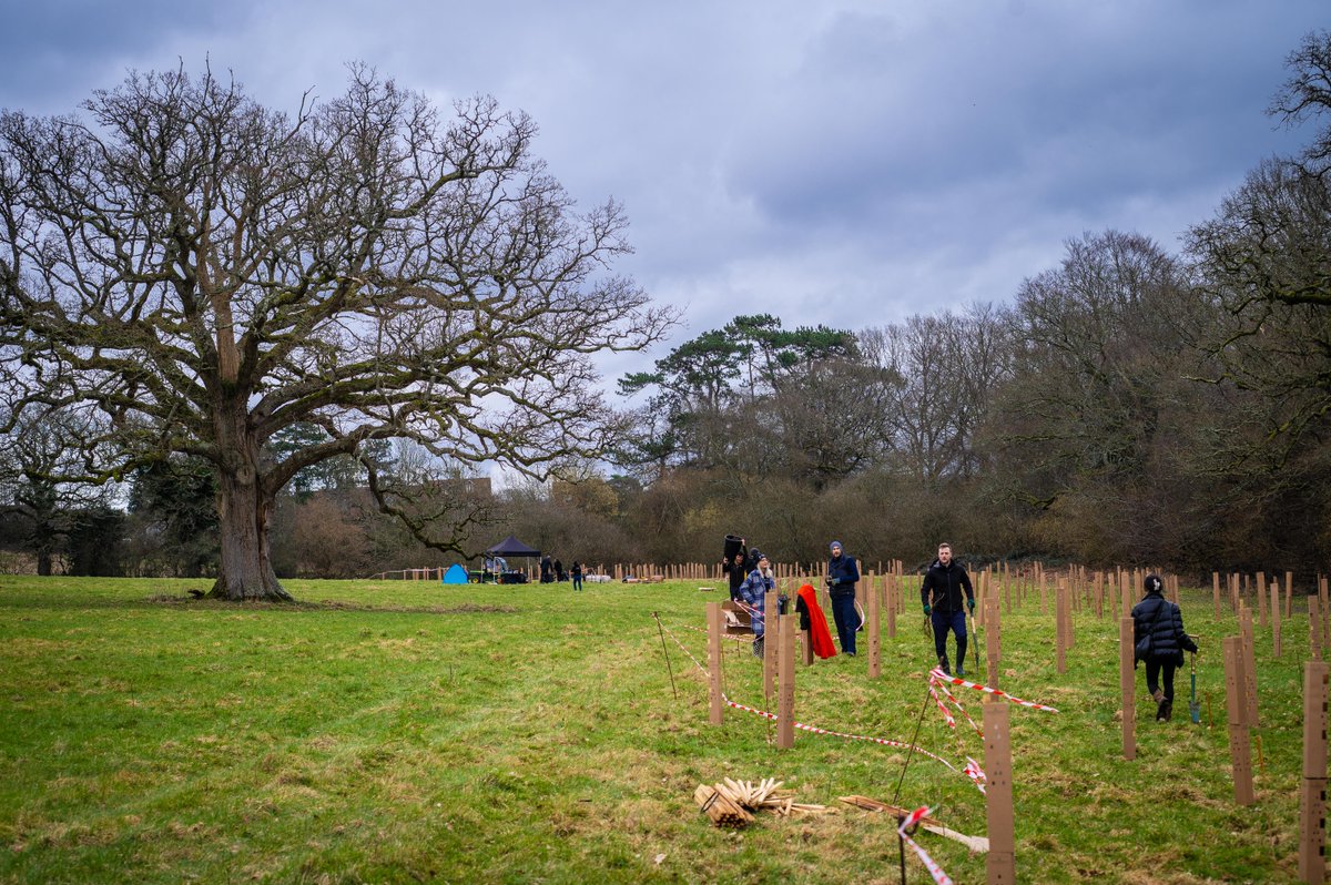 Planting tree by tree, for a greener future🌲 This month we planted 2650 trees between Lainston House & Pennyhill Park, in addition to the 1580 planted at South Lodge earlier this year🌱 Another great example of the changes for the better we are making as a @BCorpUK business💚